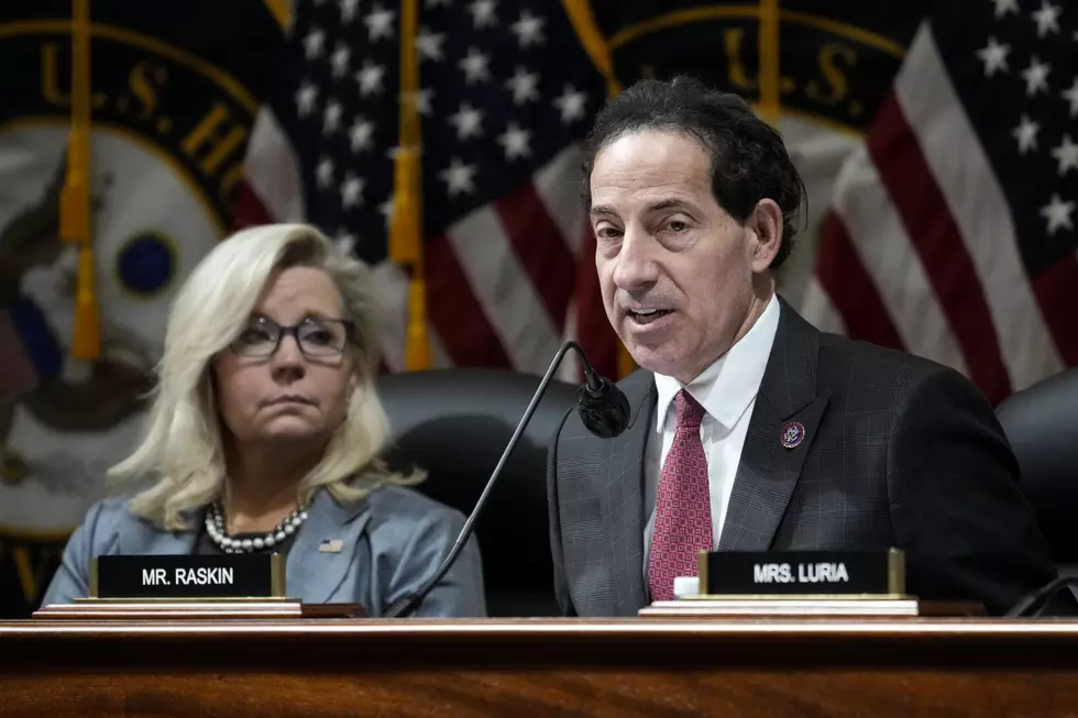 Hilarious Video of Liz Cheney's J6 Buddy Jamie Raskin