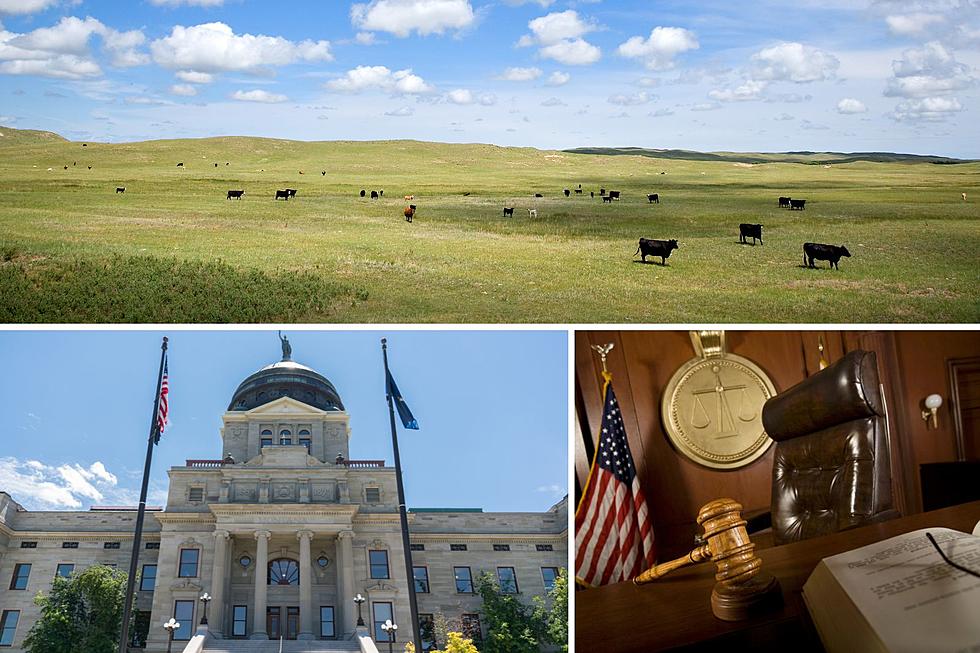 MT Stockgrowers' Update: From Water Courts to Foreign-Owned Land