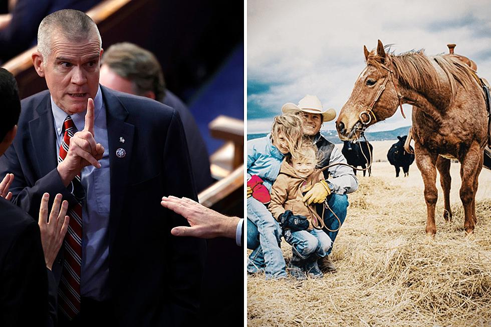 The Latest in Montana's 2024 US Senate Horse Race
