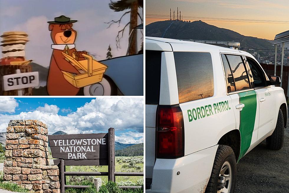 Hey Boo Boo: Illegal Aliens Being Housed in National Parks