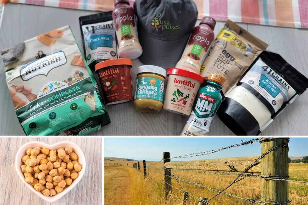 The Pulse Crop Products We Got In Plentywood, Montana