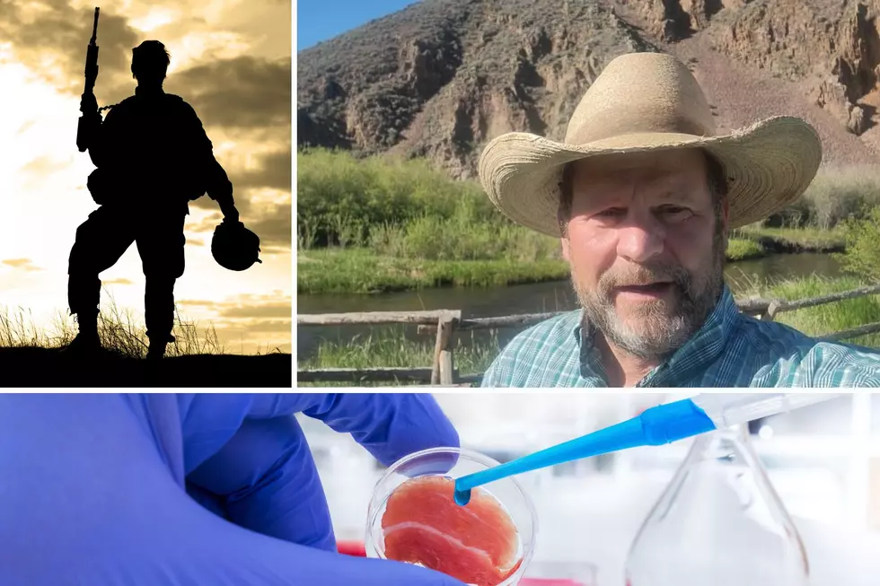 Montana Rancher: Don’t Subject Troops to Lab Grown “Meat”
