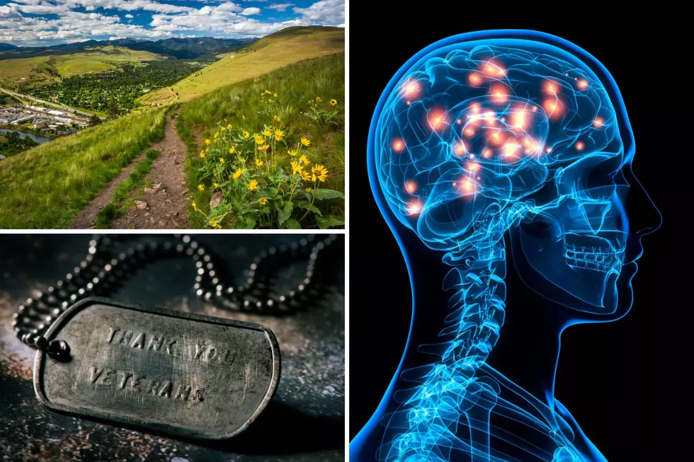 Montana Veterans Needed for Fascinating UM Brain Injury Research