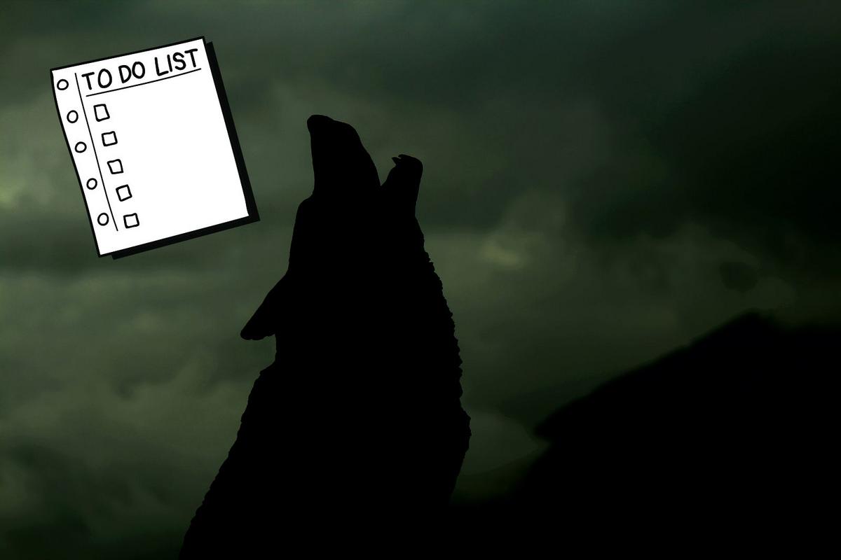 The Fielder Guide, How Montana Could Better Manage Wolves