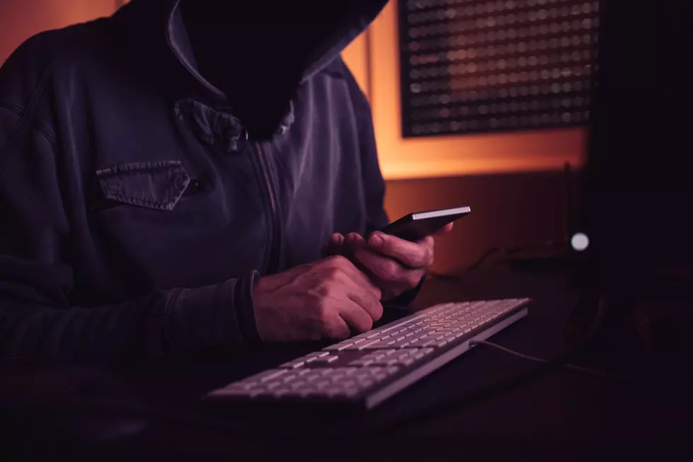 TPD Reports No Rise in Online Scams As Cases Spike Nationwide