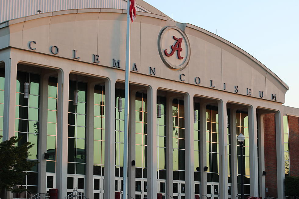 Move Aside Red Panda, Coleman Coliseum Has Found Its Next Star