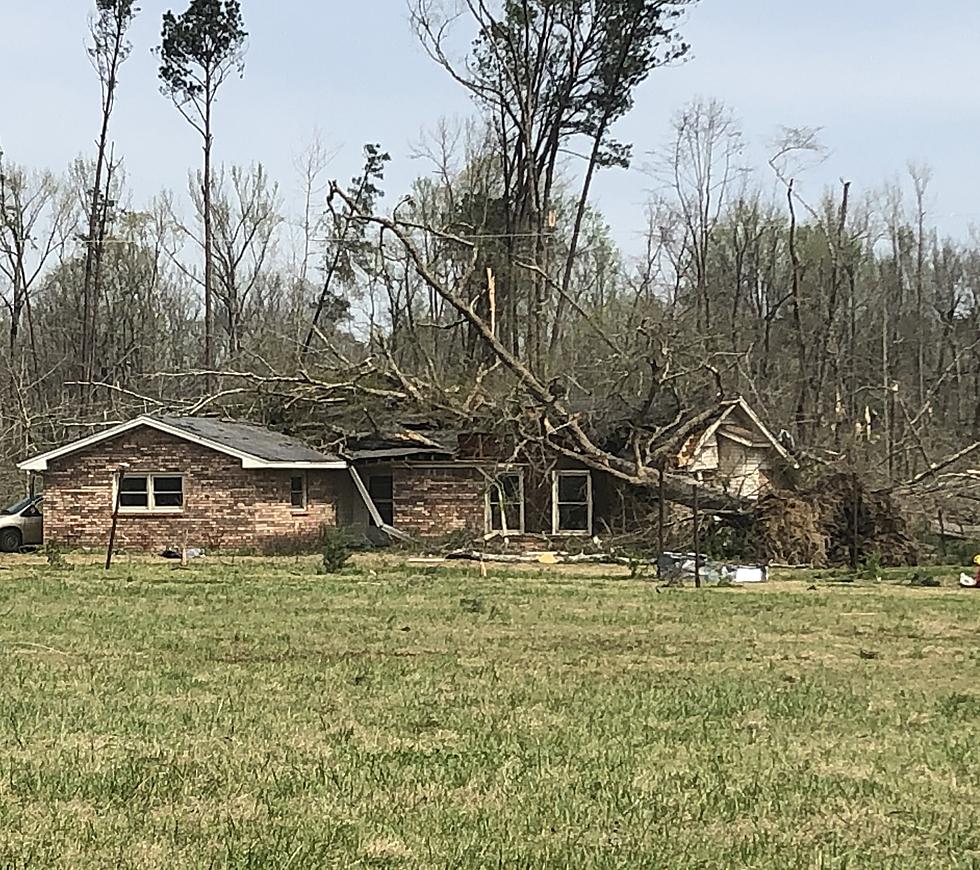 Bibb County Suffers Major Damage After Thursday Storms