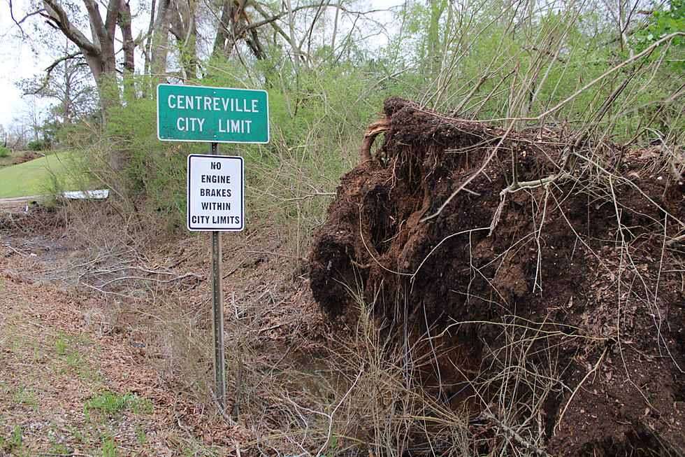 PHOTOS: Centreville Recovering from Tornado&#8217;s Devastation