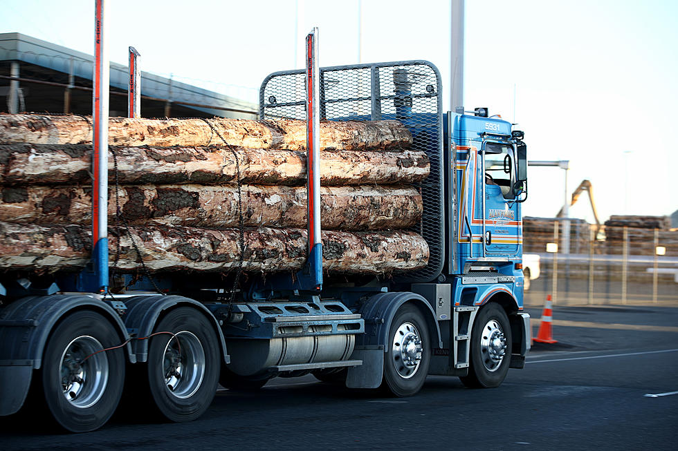 Lumber Truck Loses Its Load on Highway 69 South in Tuscaloosa, Alabama, Causing Major Traffic Delays