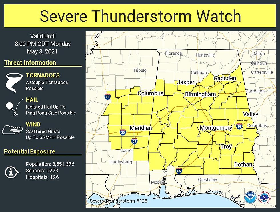 Severe Thunderstorm Watch in Effect Until 8 PM for Tuscaloosa, Alabama