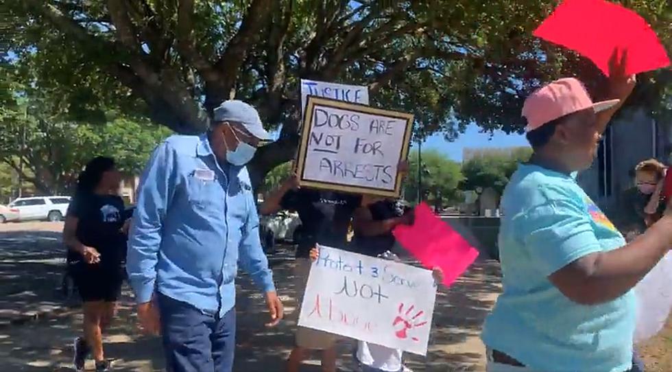 Protestors Rally Against Use of Police Dogs Outside Tuscaloosa Sheriff&#8217;s Office