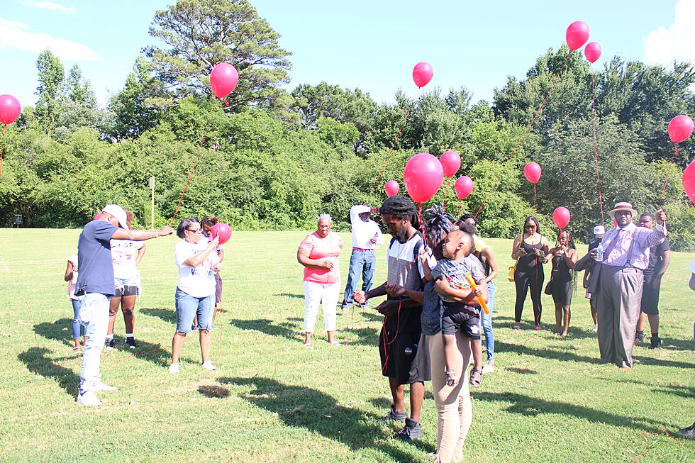 Area Leaders Decry Shootings at ‘Stop the Gun Violence’ Rally