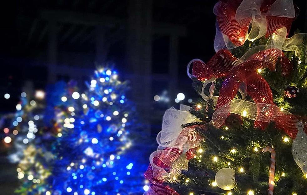 Tuscaloosa's Tinsel Trail to Move Away from Riverwalk in 2021