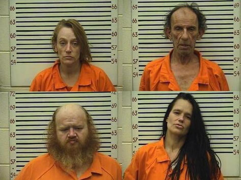 4 Arrested After String of Burglaries in Pickens County