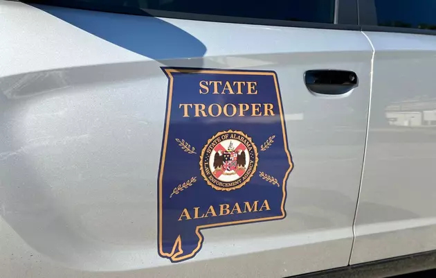 West Alabama Man Dies After Collision with Fallen Tree in Sumter County Saturday