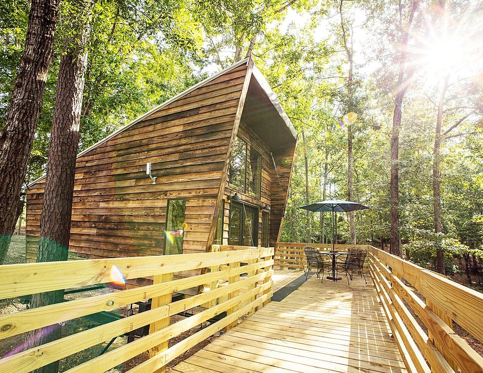 Stay the Night in This Real Life Tree House Airbnb in Tuscaloosa, Alabama