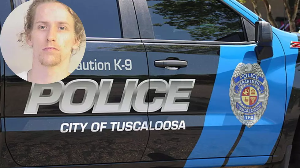 Suspect in Car Theft on Tuscaloosa Strip Captured in Greene County