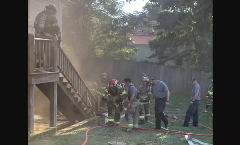 Tuscaloosa Firefighters Rescue Dog from Burning Basement Thursday