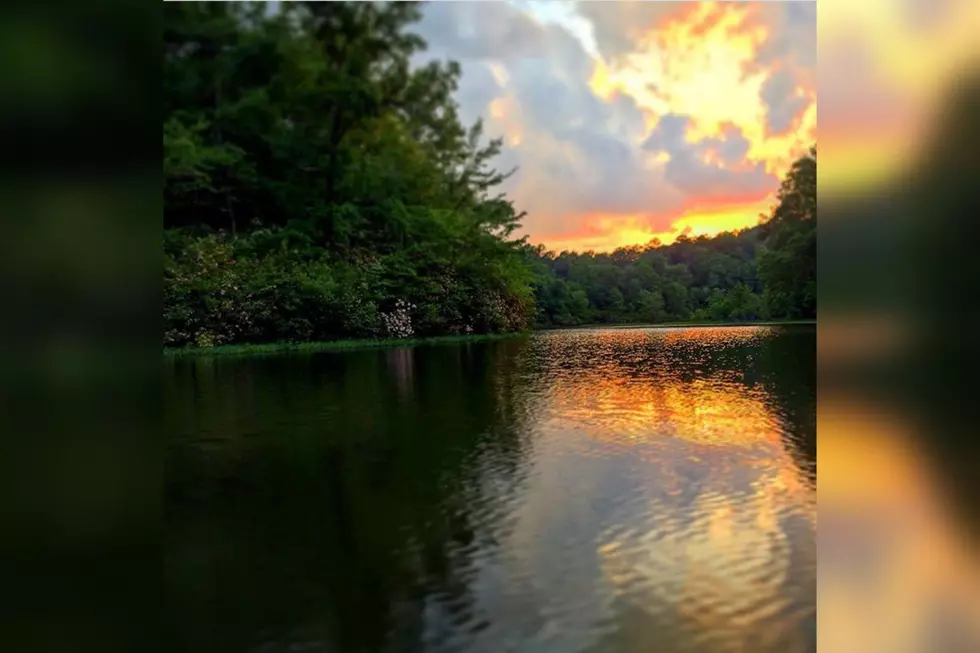 City of Tuscaloosa Asks Residents For Feedback on Local Lakes