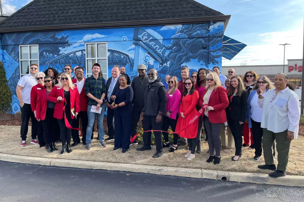 Alabama One Credit Union Unveils Mural at Technology Branch
