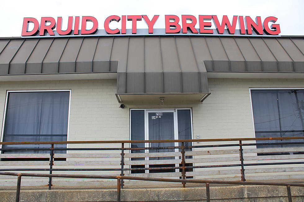 Druid City Brewing Opens New Taproom and Venue with Lofty Goals