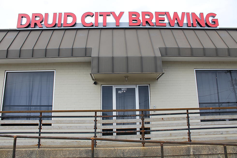 Second AshFest to Bring 8 Hours of Music & Standup to Brewery Saturday
