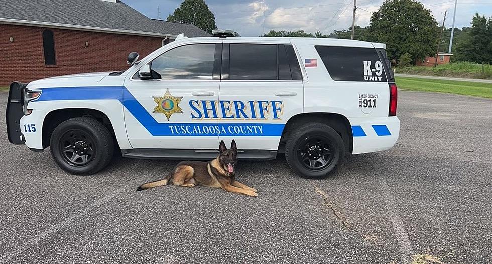 Canine and Drones Aid in Arrest of Wanted Suspect in Tuscaloosa County Manhunt