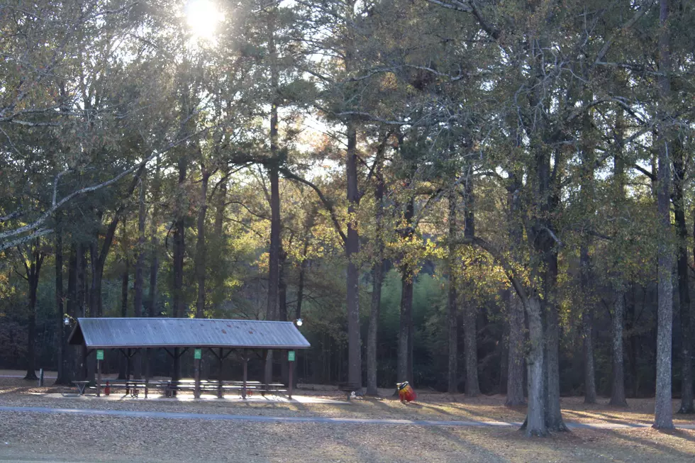 Kentuck Park in Northport (Stephen Dethrage | Tuscaloosa Thread)