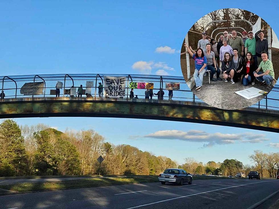 City Tables Votes on Demolition of Pedestrian Bridge As Residents Rally to Save It