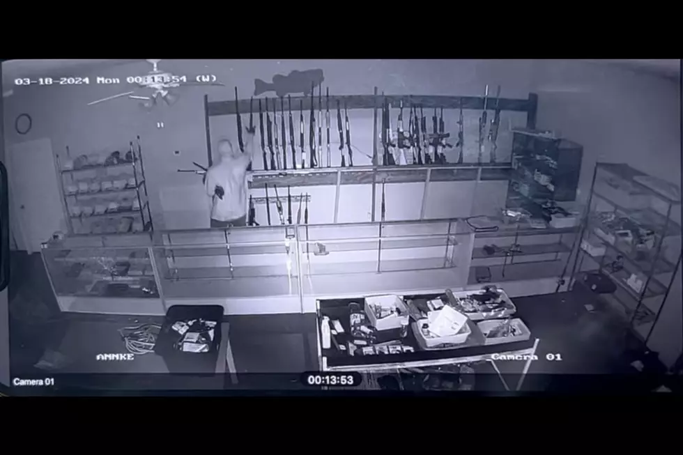 Northport Police Searching for Burglars Who Rammed Through Pawn Shop Doors to Steal Guns