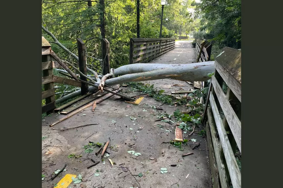 Bridge on Tuscaloosa Riverwalk Closed for Repair After Storm Fells Tree
