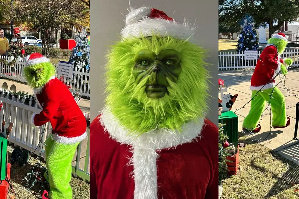 Tuscaloosa Police & Park Agencies Ask for Help in for Holiday Grinch-Hunt