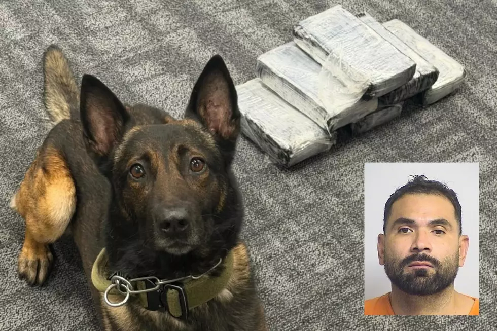 Tuscaloosa Police K-9 Helps Uncover 14 Pounds of Cocaine During Interstate Traffic Stop Friday