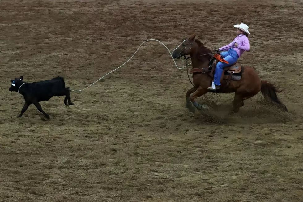Pro Rodeo and Freestyle Motorcross At Sokol Park This Week