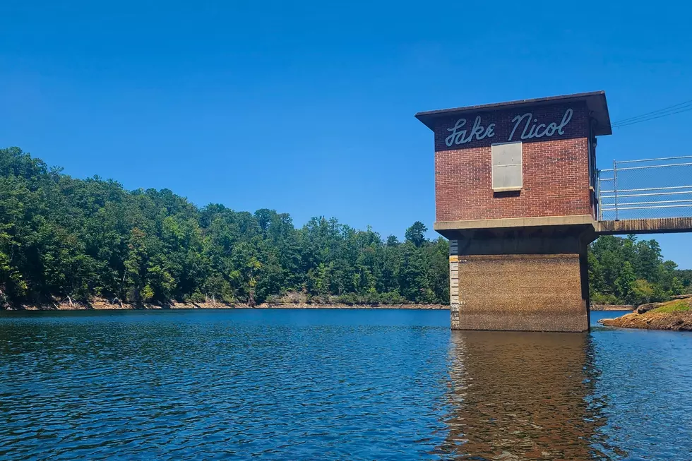 (Stephen Dethrage | Tuscaloosa Thread)