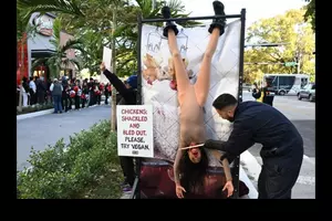 PETA Plans Mock Slaughter Protest at Tuscaloosa Raising Cane's