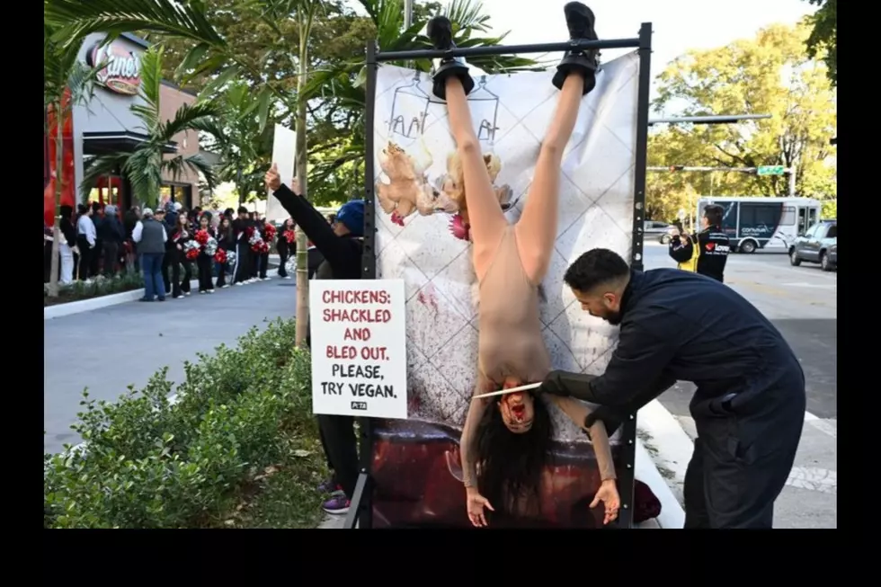 PETA Plans Mock Slaughter Protest at Tuscaloosa Raising Cane's