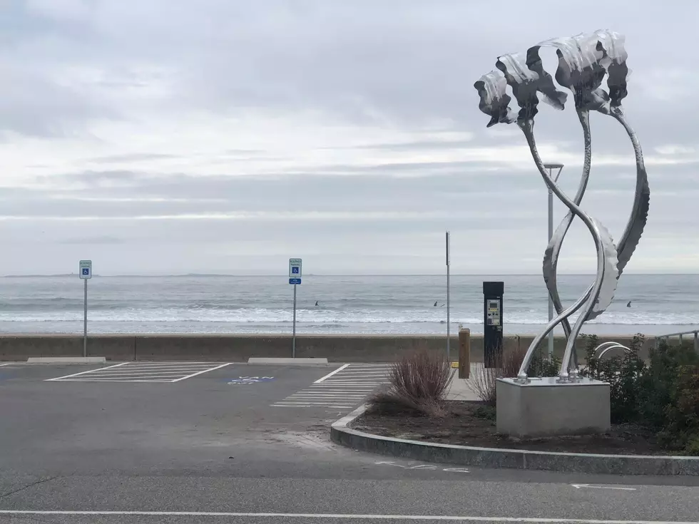 New Art Installation Displayed at Jenness Beach in Rye