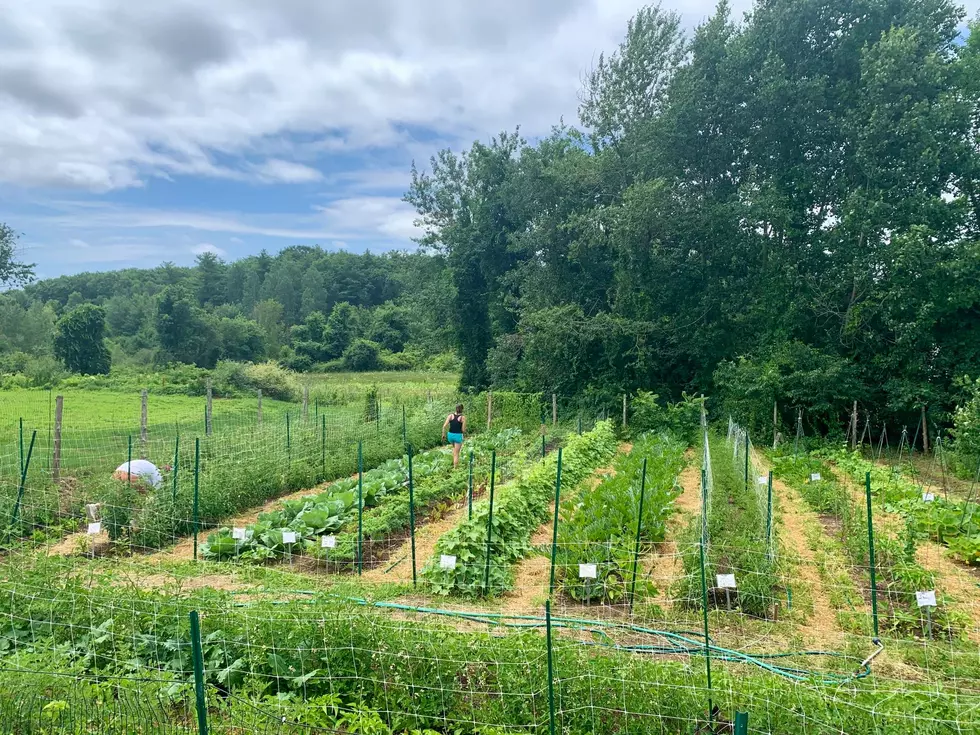 Kittery Land Trust Secures New Initiative In Nooney Farm