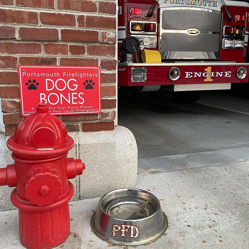 Dog Treats a Big Hit at One Portsmouth, NH Fire Station