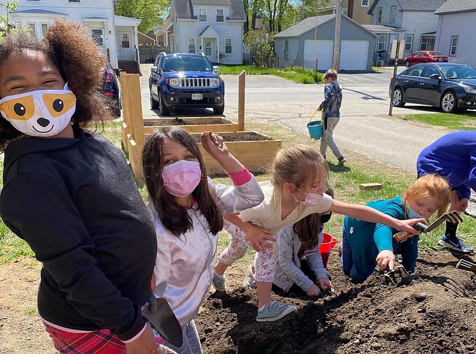 Growing Time! Two Rochester, NH Schools Help Community Gardens