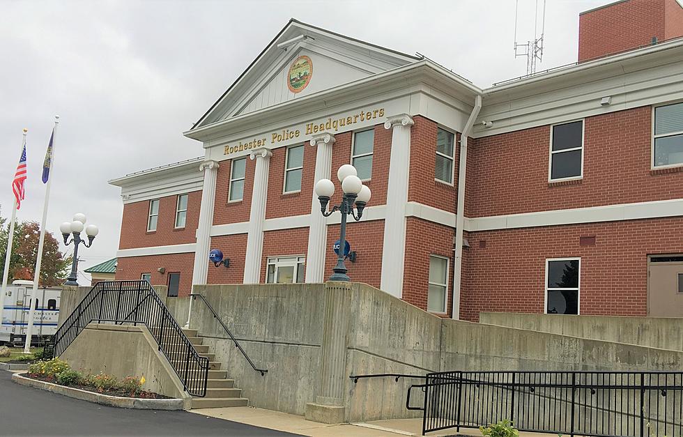 Meet Rochester, NH Police Department&#8217;s New K9 Officer