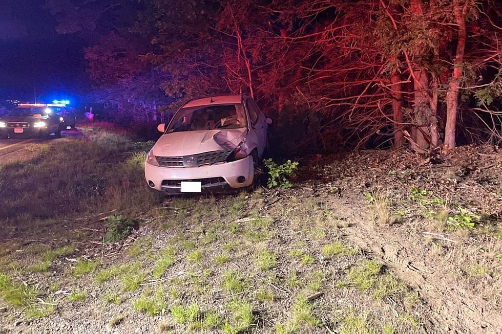 Man Crashes Into Trees Driving Wrong Way on Route 101, Cops Say