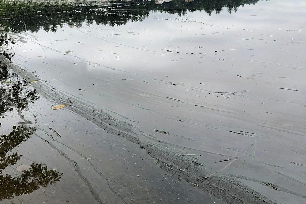 Cooling Off Cautiously on the Seacoast as Temperatures Soar