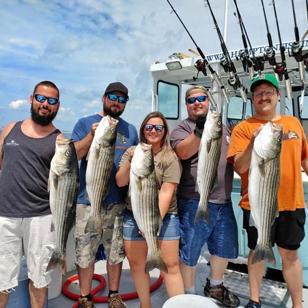 If You Aren&#8217;t Fishing, You Aren&#8217;t Living! Striped Bass Are Off the Coast of New Hampshire, Maine