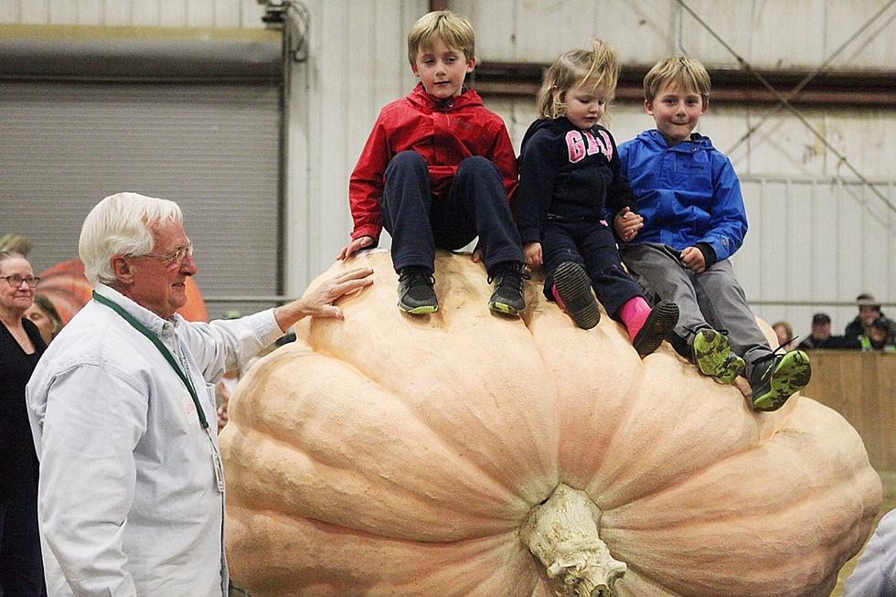 11 Days of Fun — Topsfield Fair Runs Oct. 1 through Oct. 11 in MA