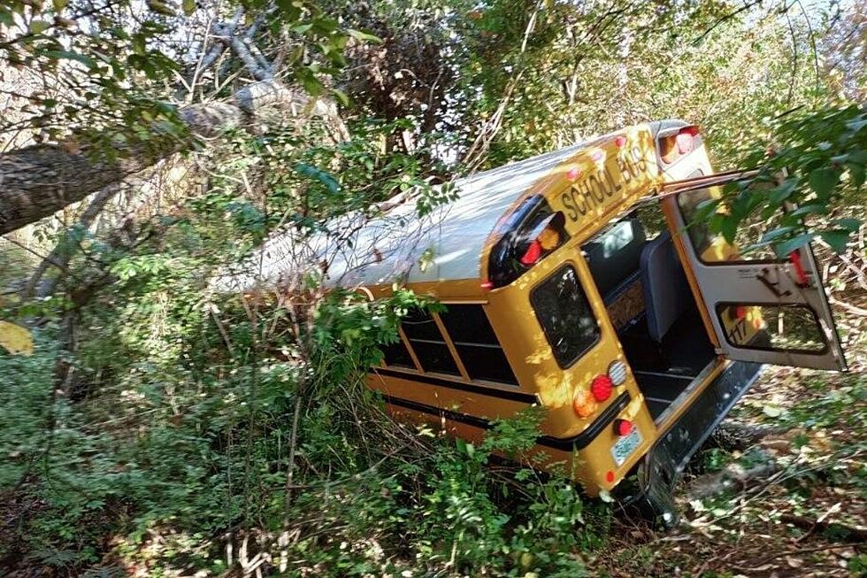 School Bus Goes Off Road Into Woods in Plaistow, NH