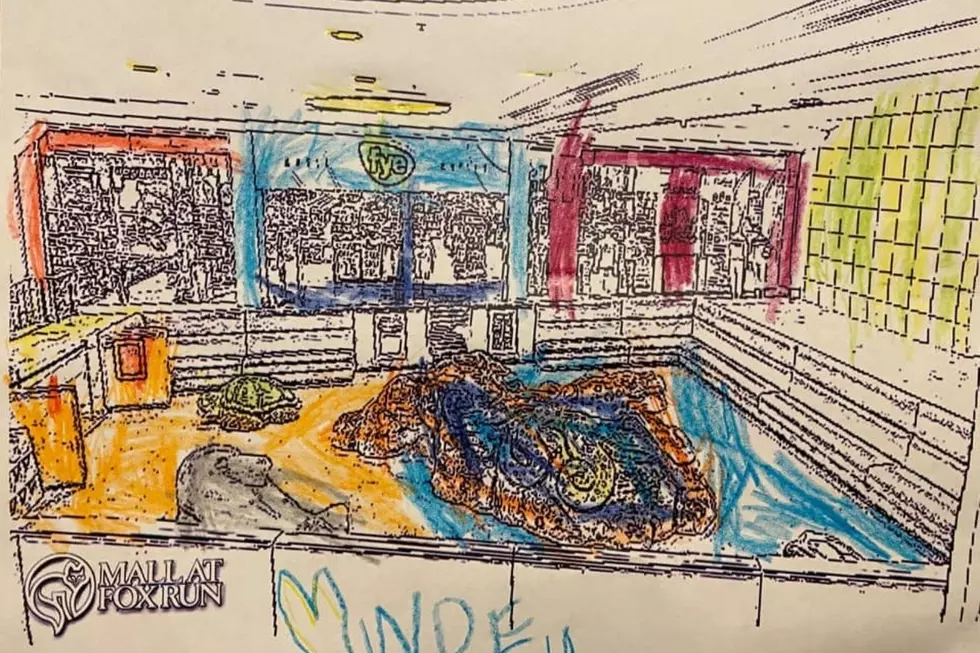 Mall at Fox Run's new play area coloring contest second place winner Wren