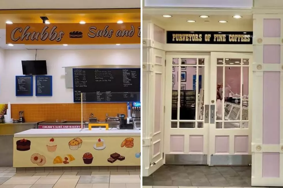 Chubbs Subs, Pink Hippo at the Mall at Fox Run