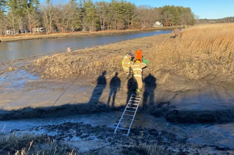 Firefighters use a ladder to free two hunters and a dog from Chapman’s Landing